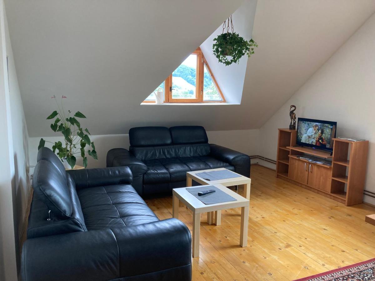 Apartman Pod Laznema Jeseník Extérieur photo